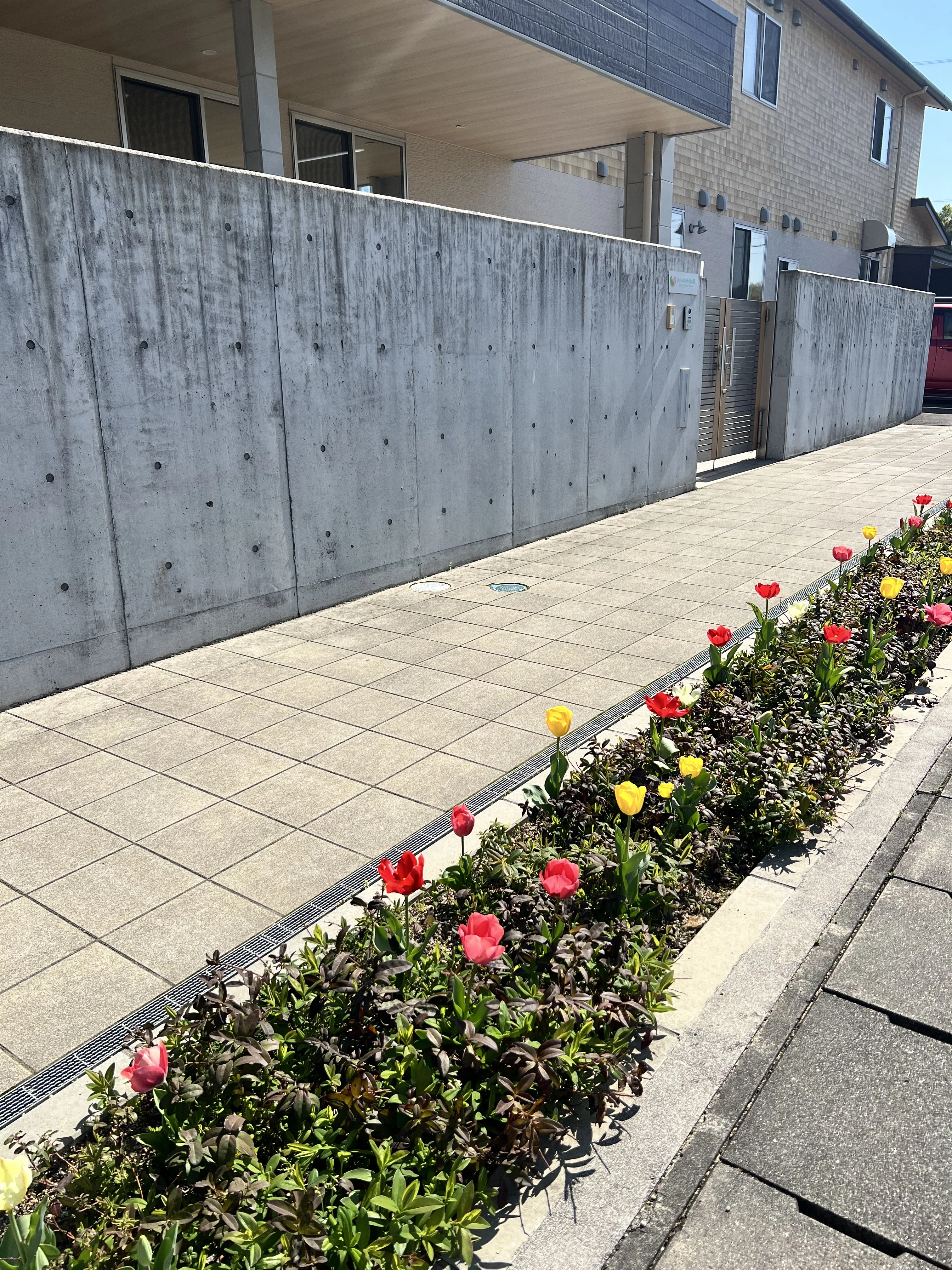 保育園の園庭